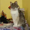Отзыв от Алеся Прохорова